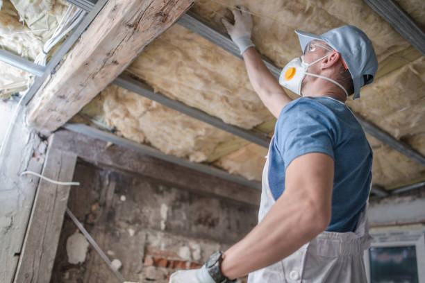 Best Insulation Maintenance and Repair in Greenup, KY