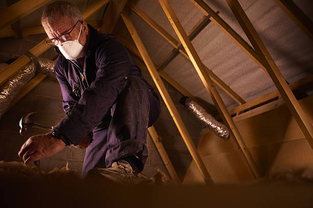 Best Specialty Insulation in Greenup, KY
